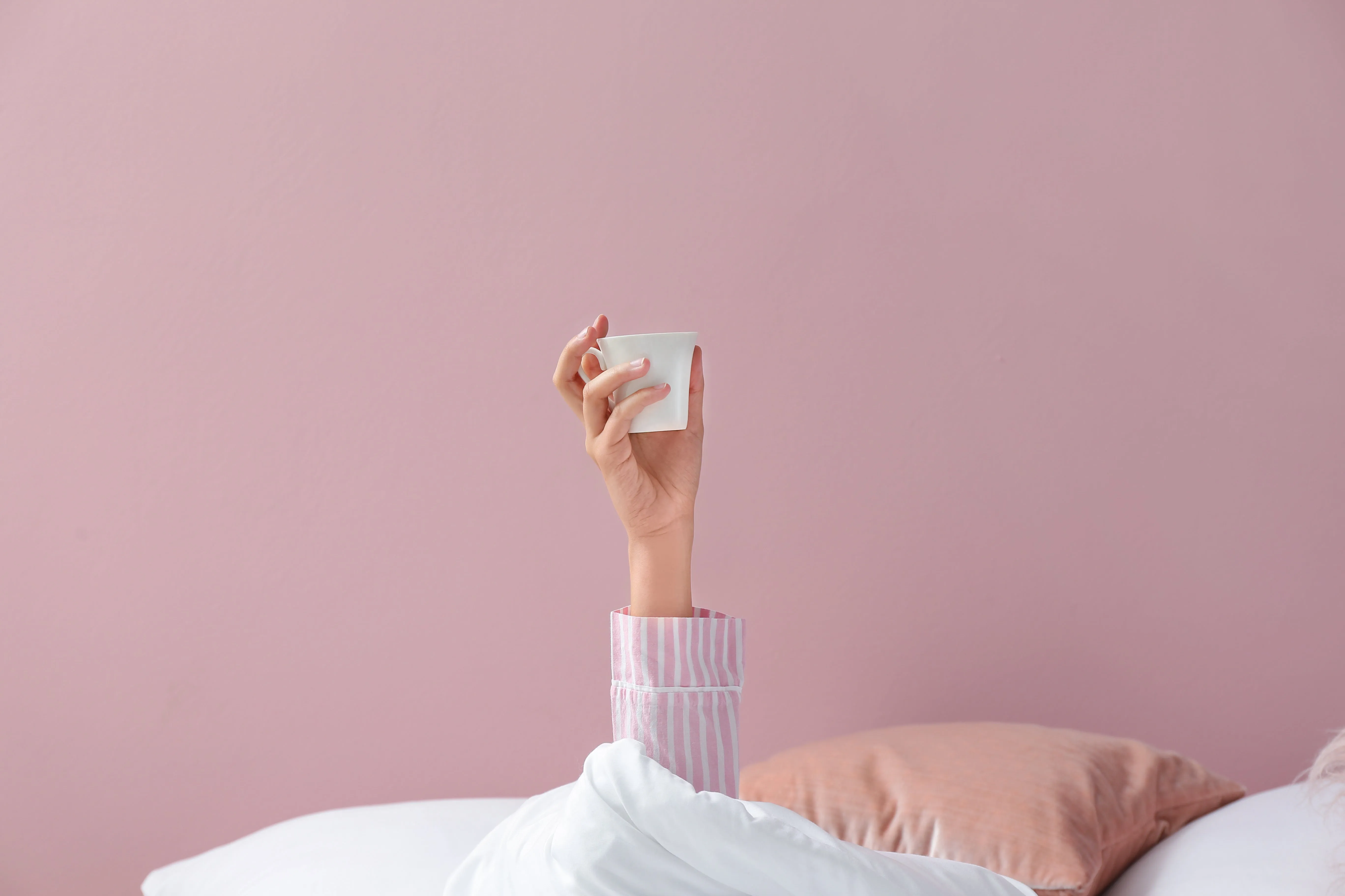 Breakfast | Probiotic Tea (20 Bio Bags)
