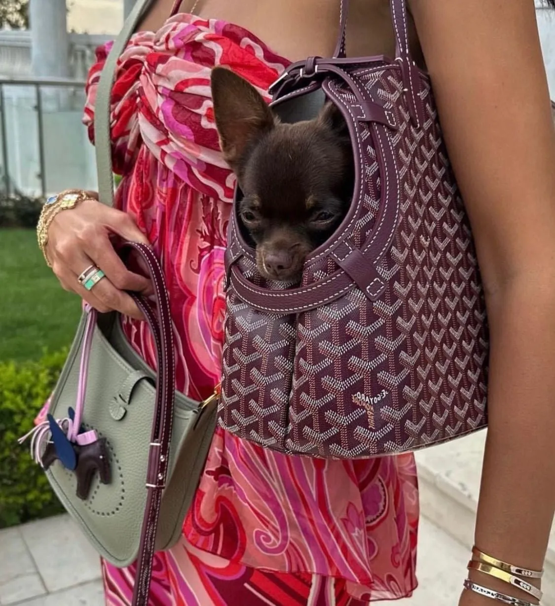 Pawfect Travel Tote