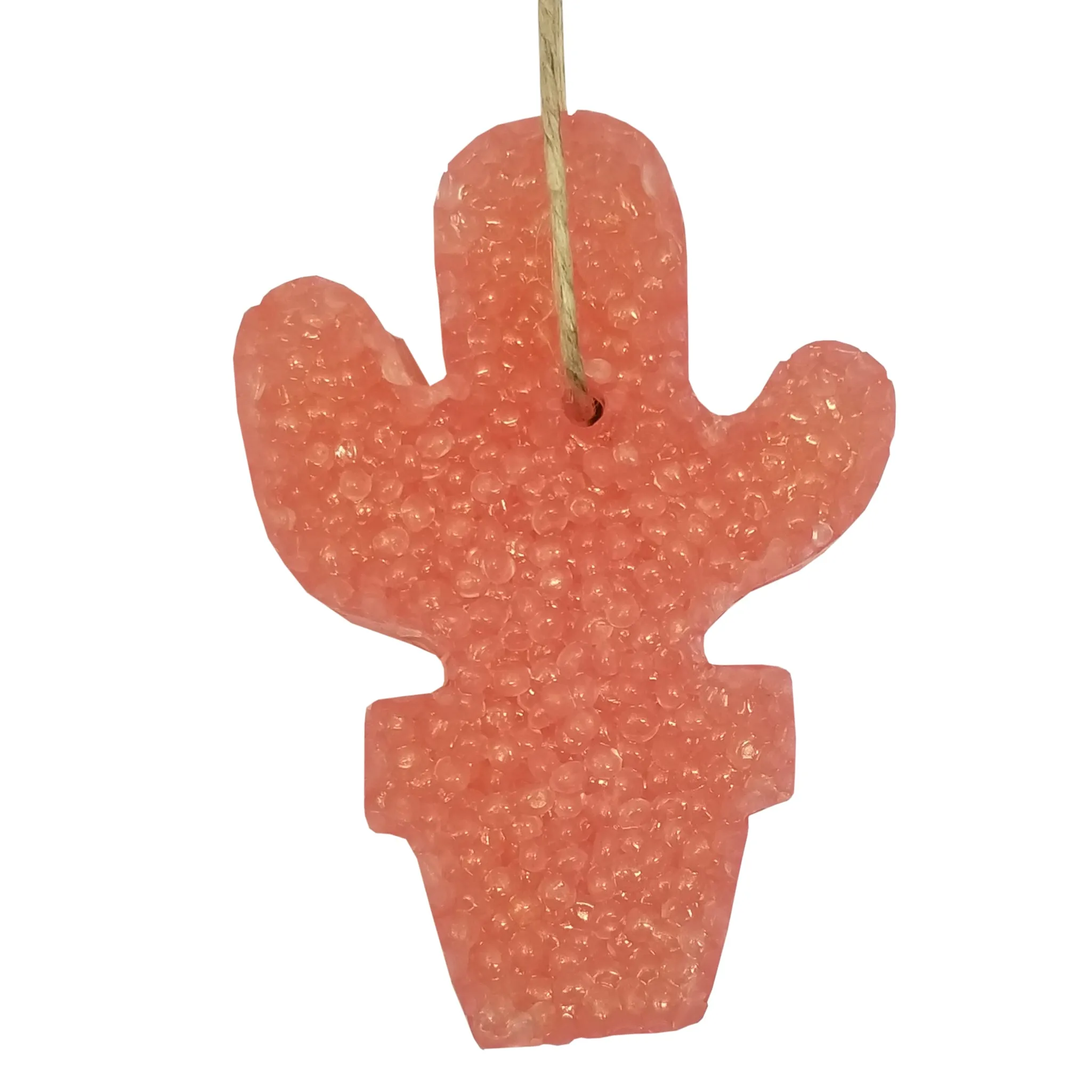 Potted Cactus Aroma Bead Air Freshener