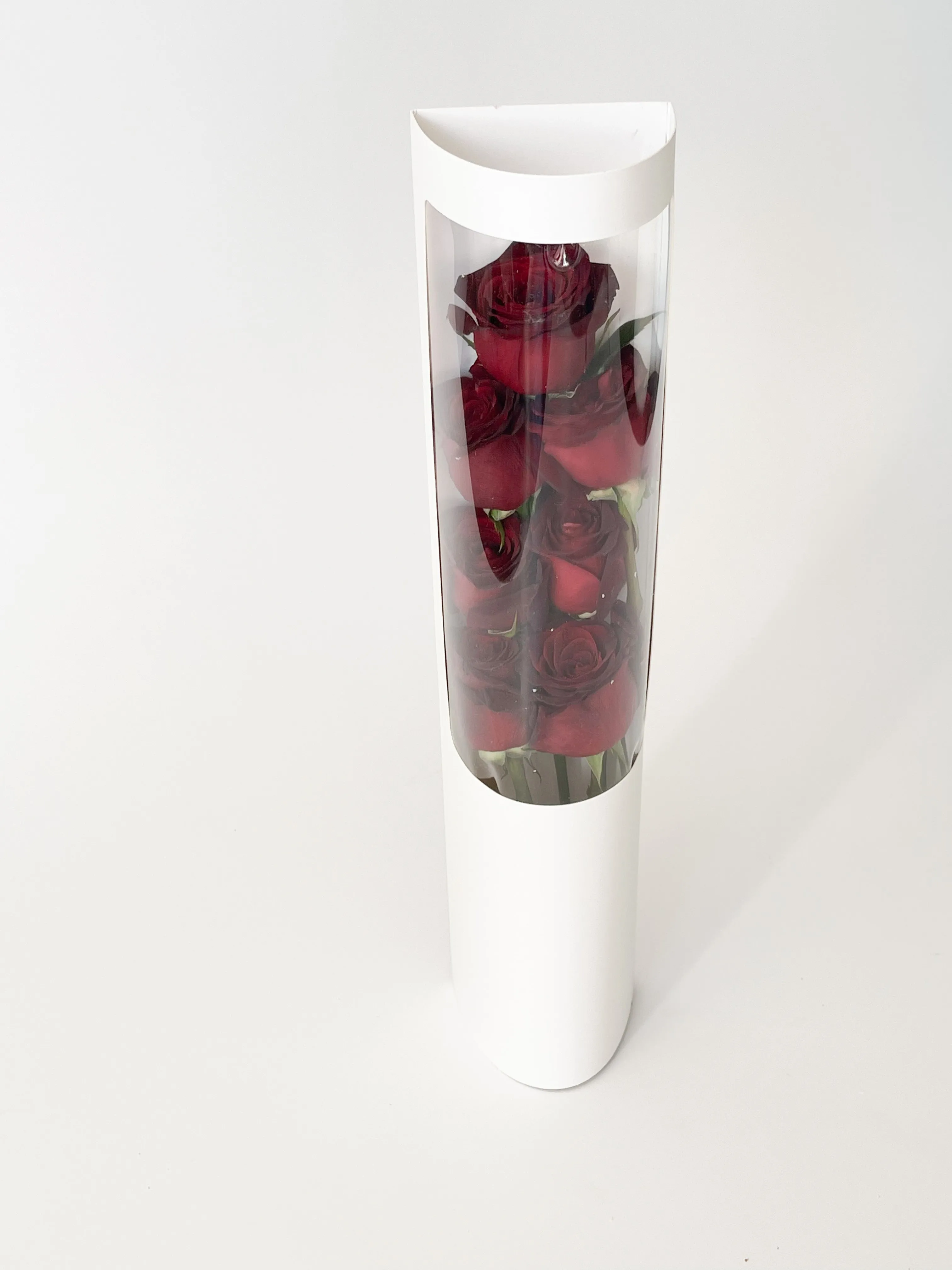 Transparent Flower Box (No Bottom)