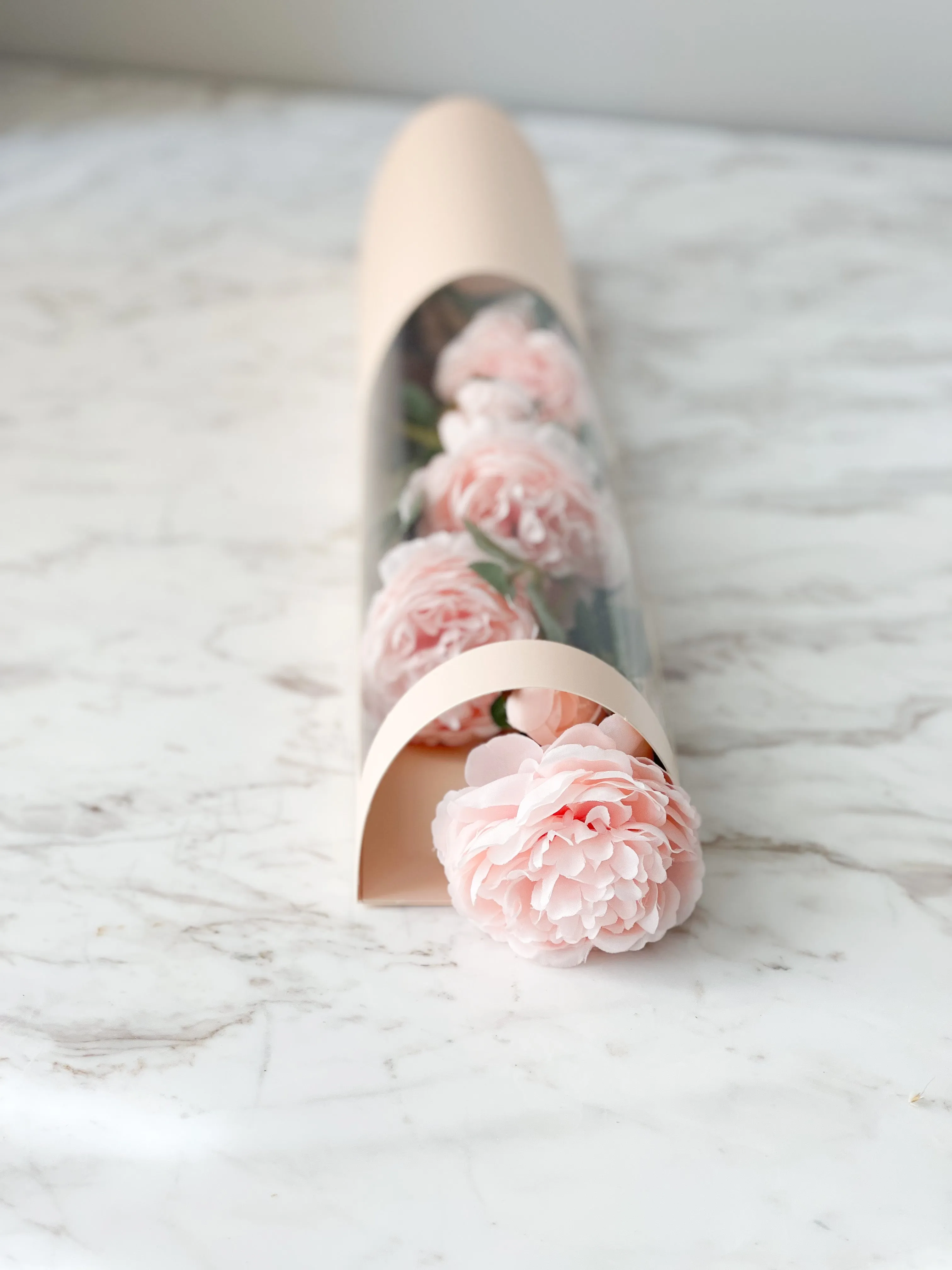 Transparent Flower Box (No Bottom)