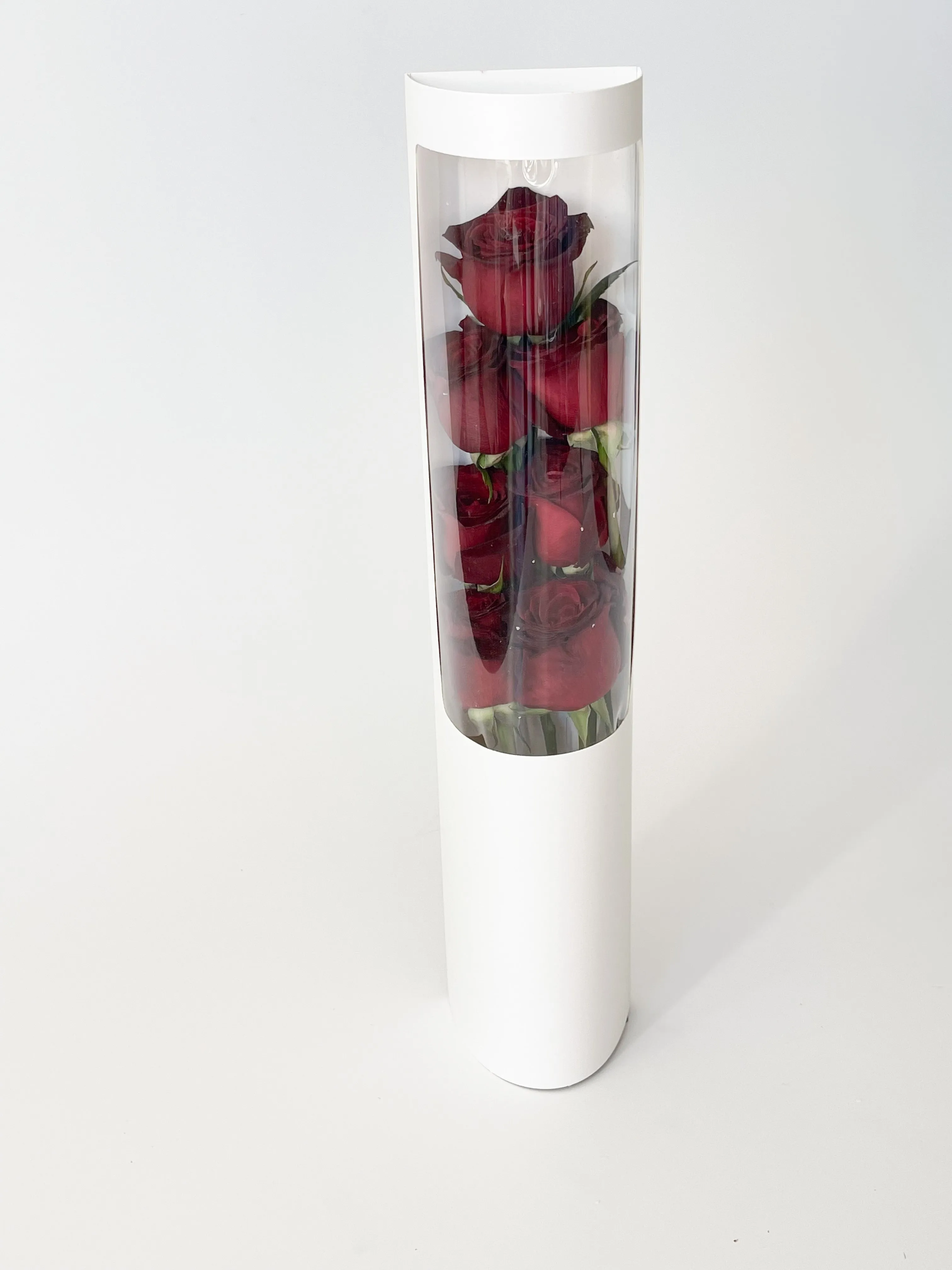 Transparent Flower Box (No Bottom)
