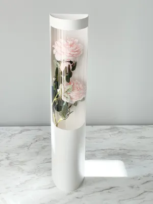 Transparent Flower Box (No Bottom)