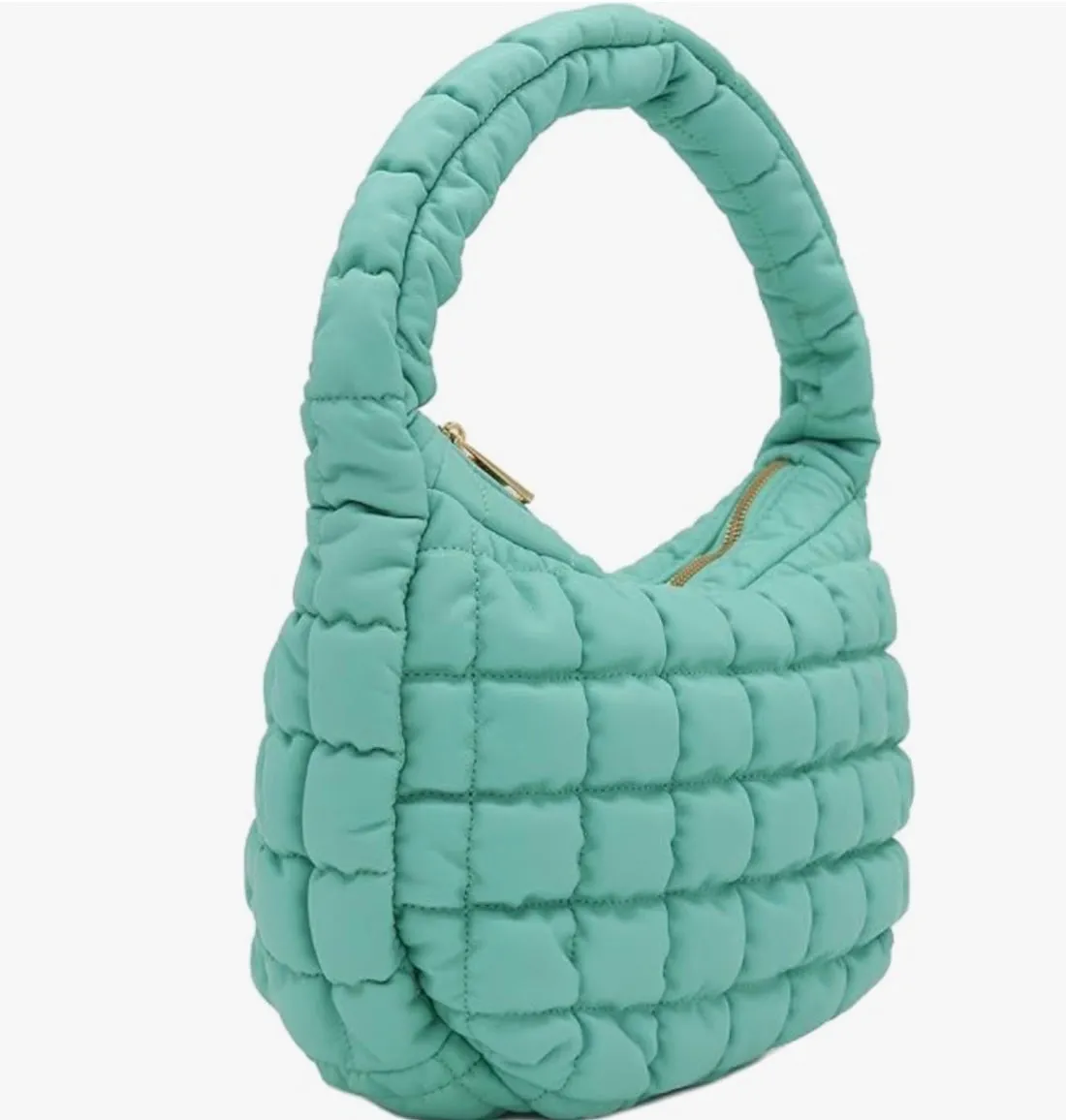 Women Padded Hobo Bag Versatile Cloud Pleatd Bag Lightweight Down Clutch Bag Quilted Tote Handbag Fall Winter Purse